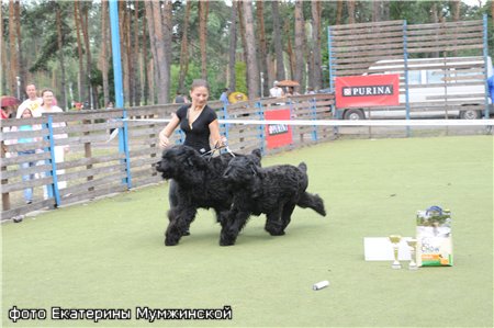 ЦВИТ ЯБЛУНЕВЫЙ  ИЗ АНГАРСКОЙ ЖЕМЧУЖИНЫ И АМАЗОНКА ЯБЛУНЕВЫЙ ЦВИТ.